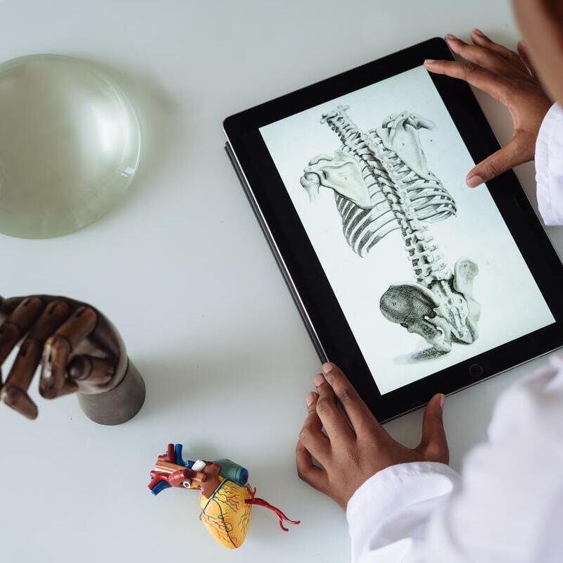 Skeleton picture showed on ipad, wooden hand model, organ model and glass